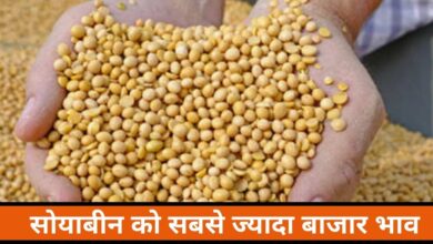 soyabean rate