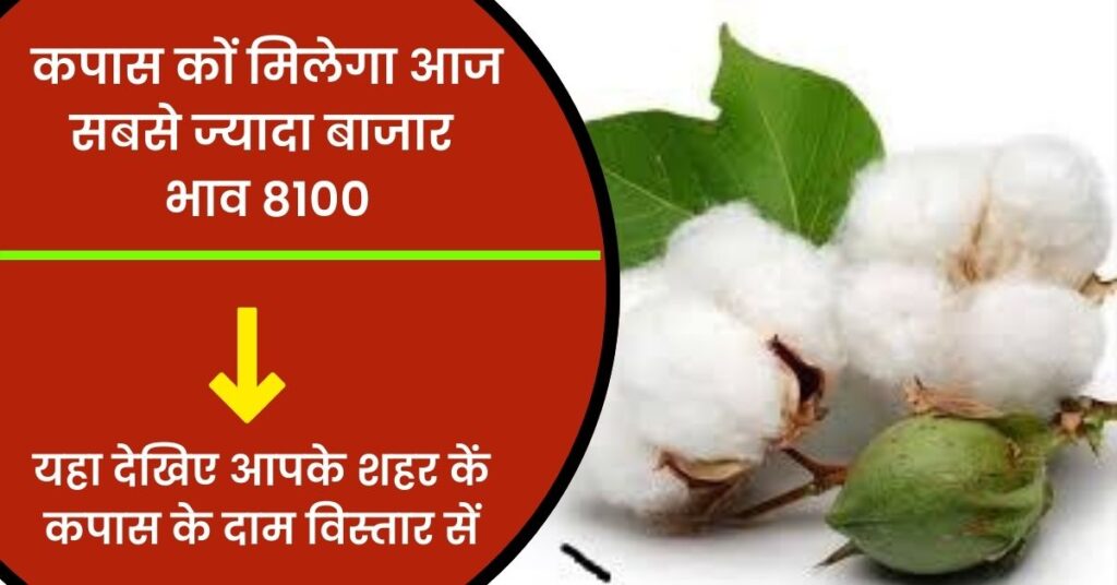 cotton-price