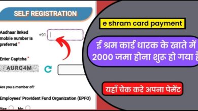 E shram card payment status 2023