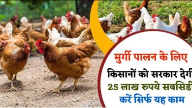 Poultry Farming 2023
