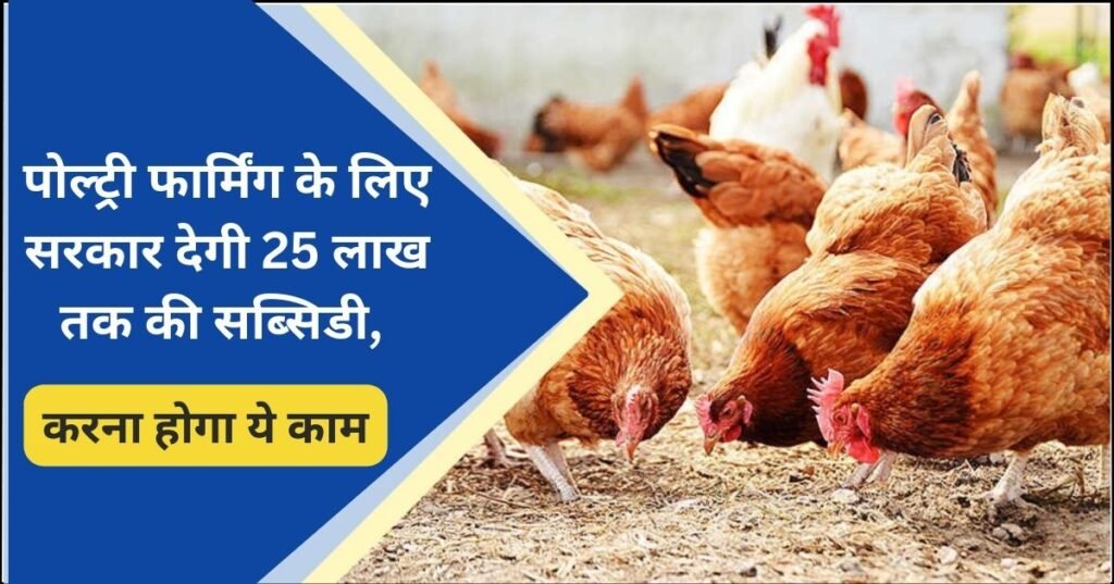 Poultry Farming 2023 1024x537 1 