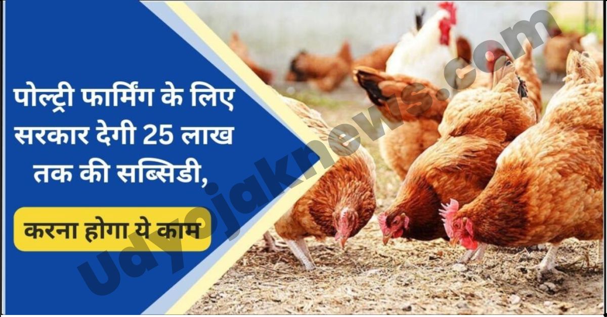 Poultry Farming Apply 2023