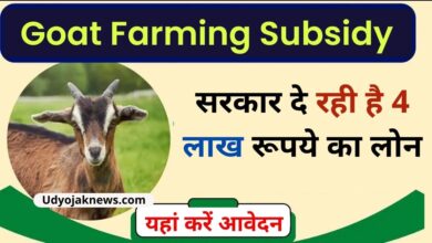 Goat Farming Apply 2023
