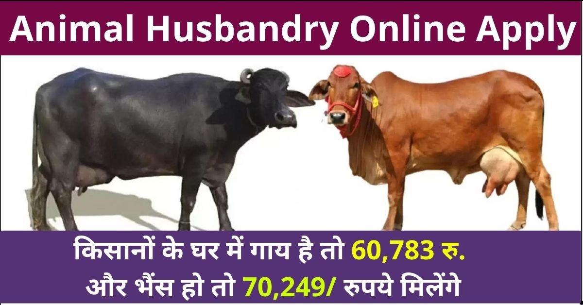 animal husbandry 2023 online apply