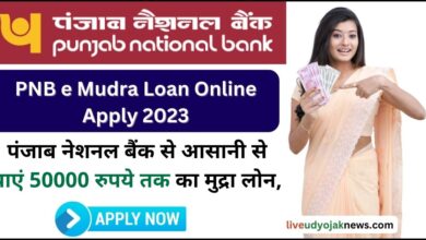 PNB E Mudra Loan Apply Online