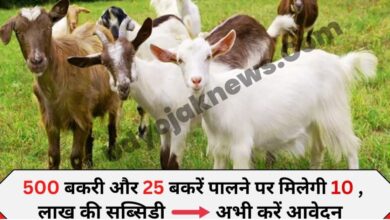 Goat Farming Loan