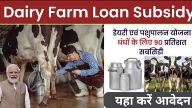 Dairy Farm Loan Subsidy