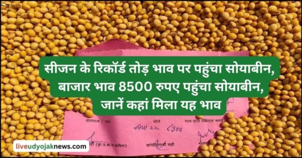 Today Soybean Prices 2024